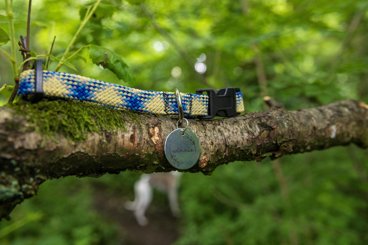 Yellow & Blue Retired Climbing Rope Dog Collar
