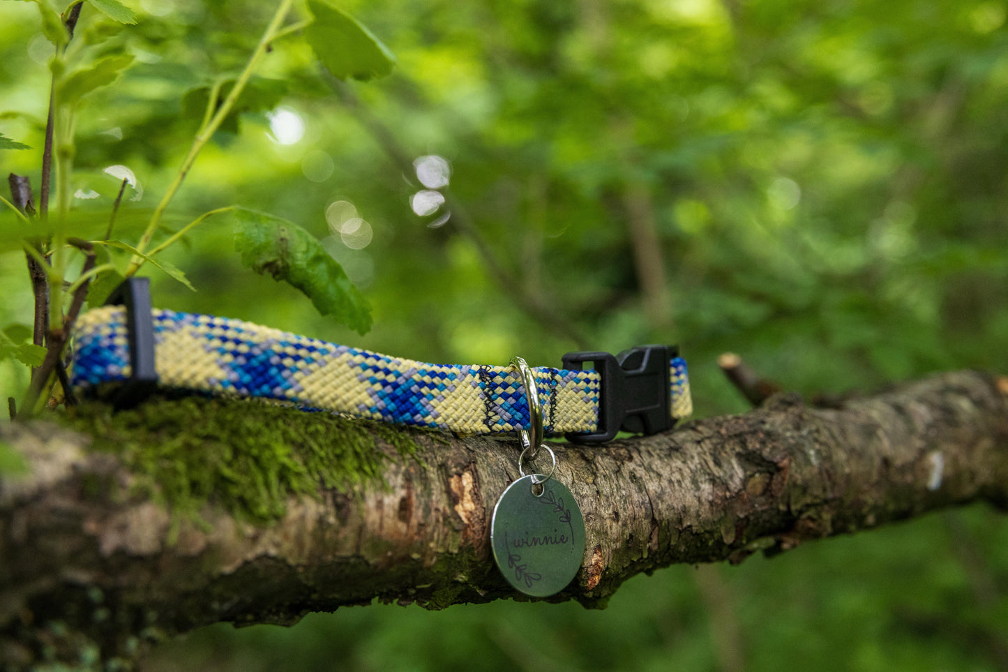 Yellow & Blue Retired Climbing Rope Dog Collar
