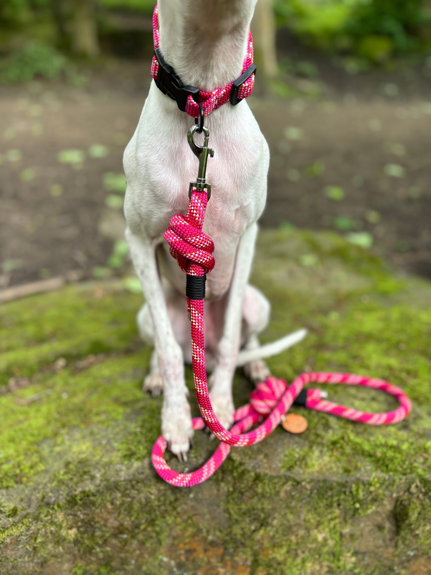 Bright Pink, Beal® Retired Climbing Rope Dog Lead