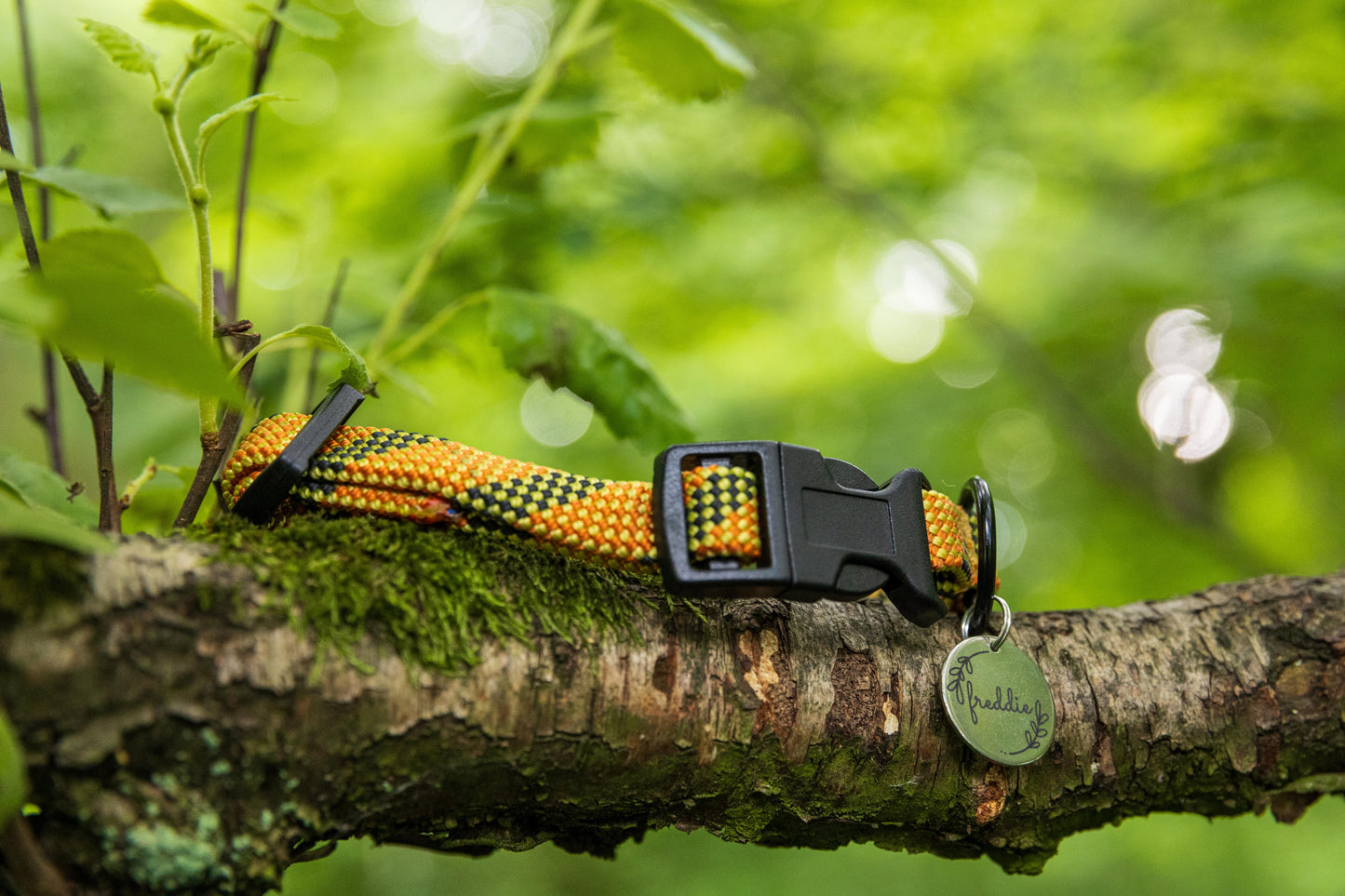 Orange & Green Beal® Retired Climbing Rope Dog Collar