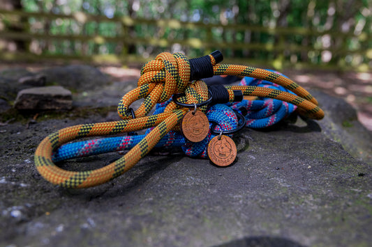 Orange & Green Beal® Retired Climbing Rope Dog Lead