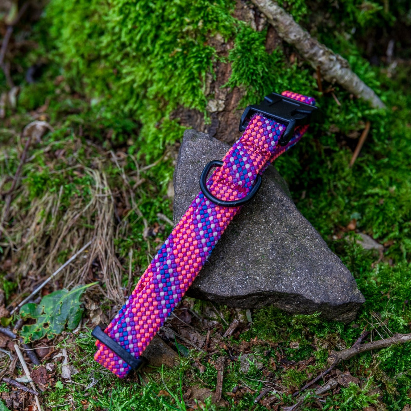 Pink & Purple Beal® Retired Climbing Rope Dog Collar