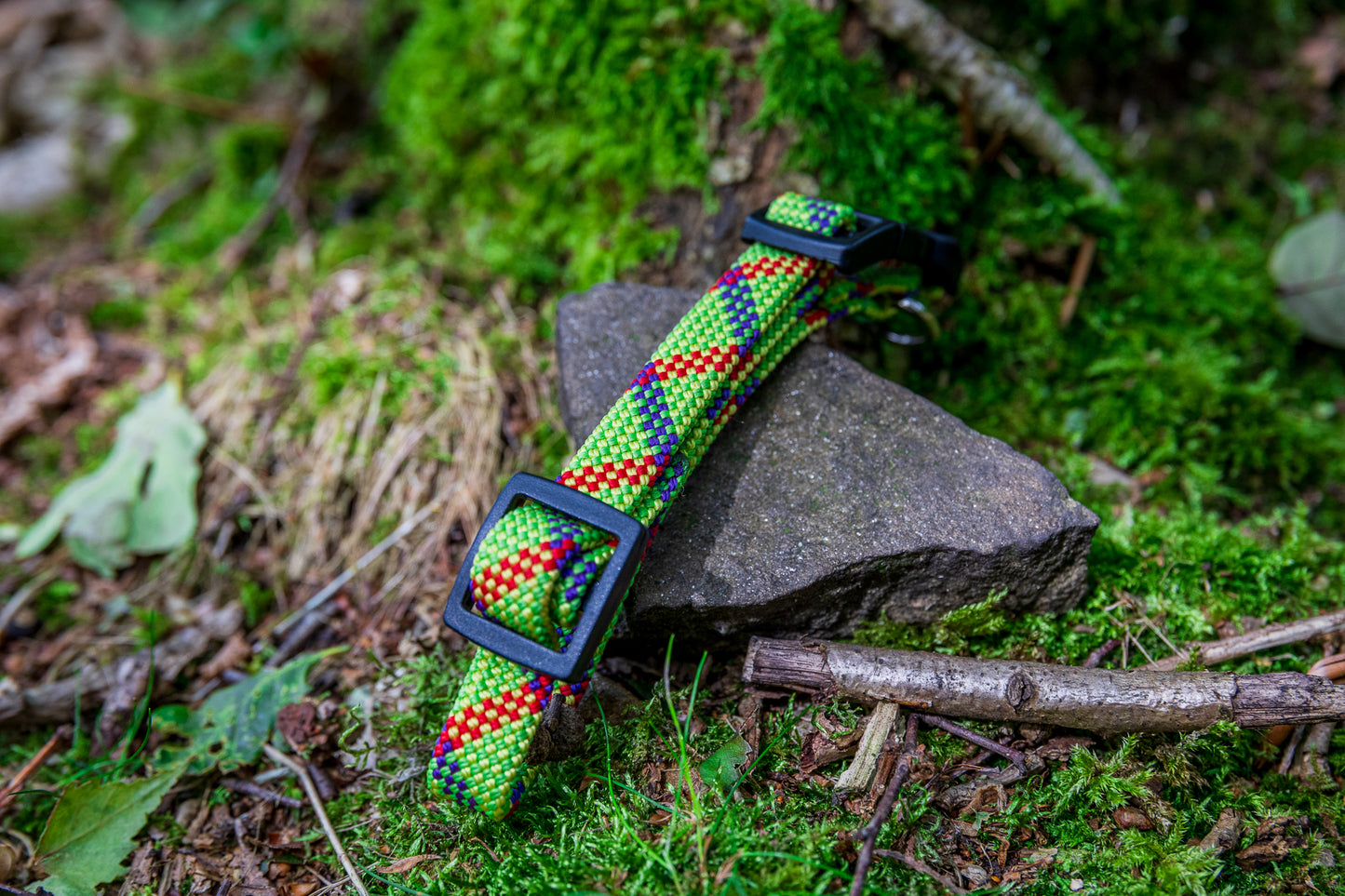 Green & Red, Beal® Retired Climbing Rope Dog Collar