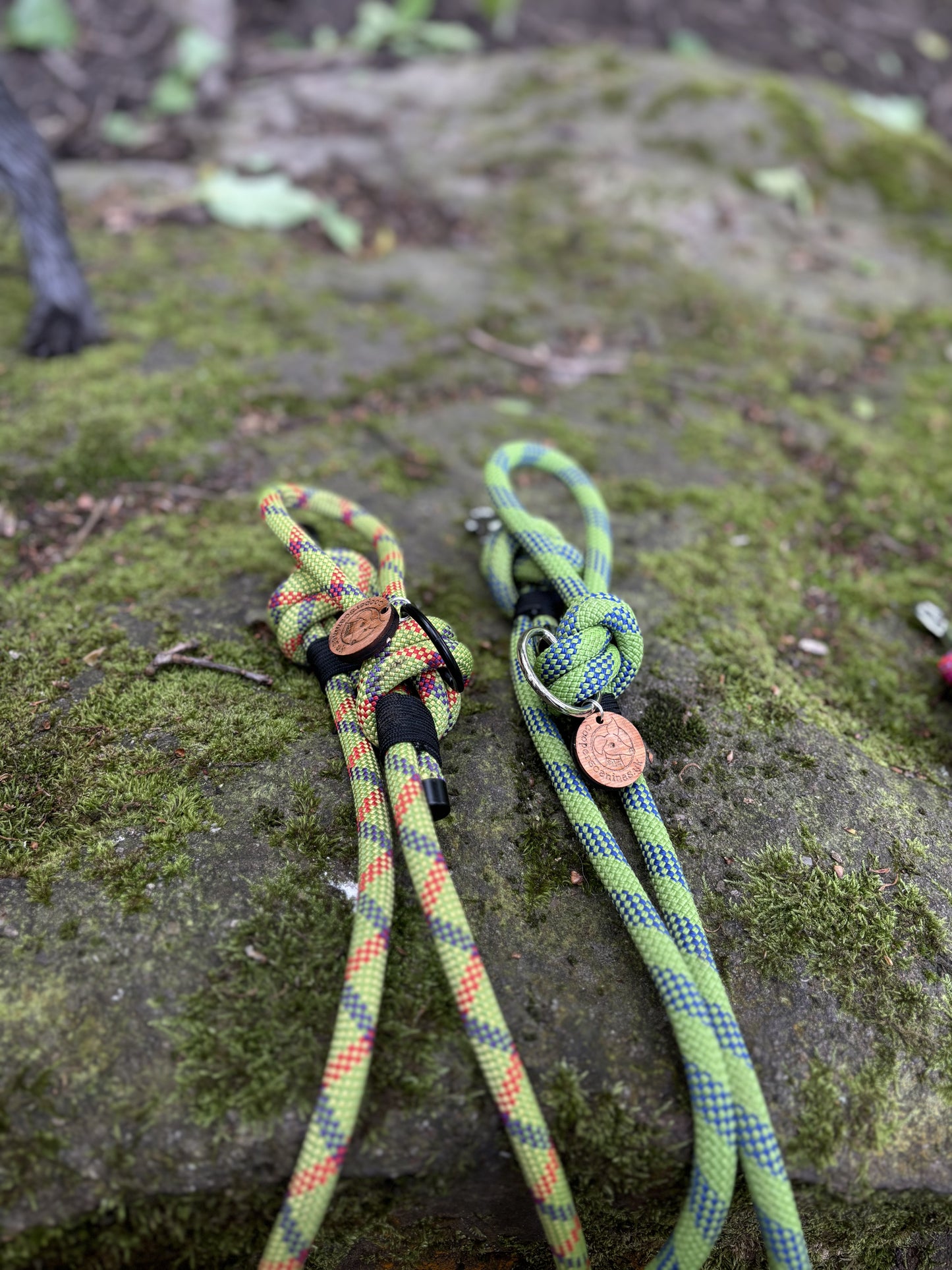 Green & Blue, Mammut® Retired Climbing Rope Dog Lead