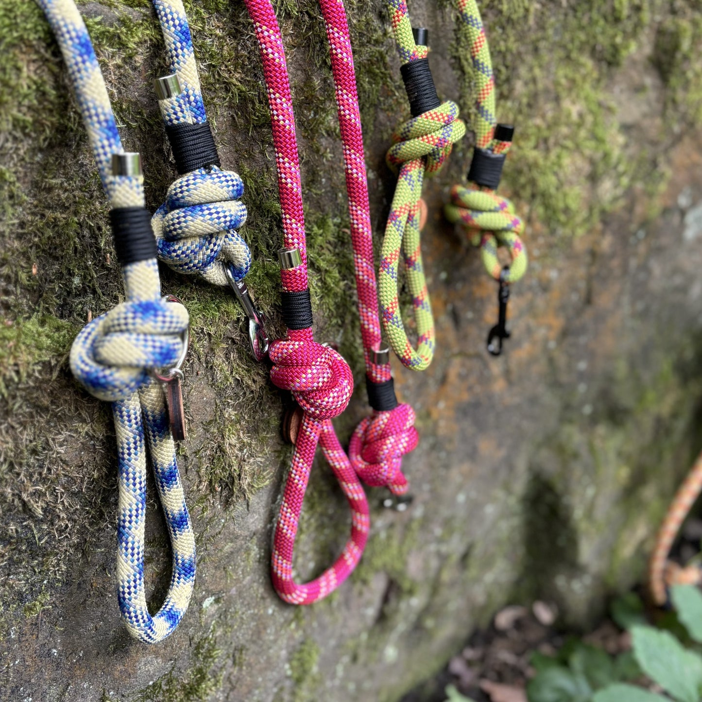 Yellow & Blue, Retired Climbing Rope Dog Lead