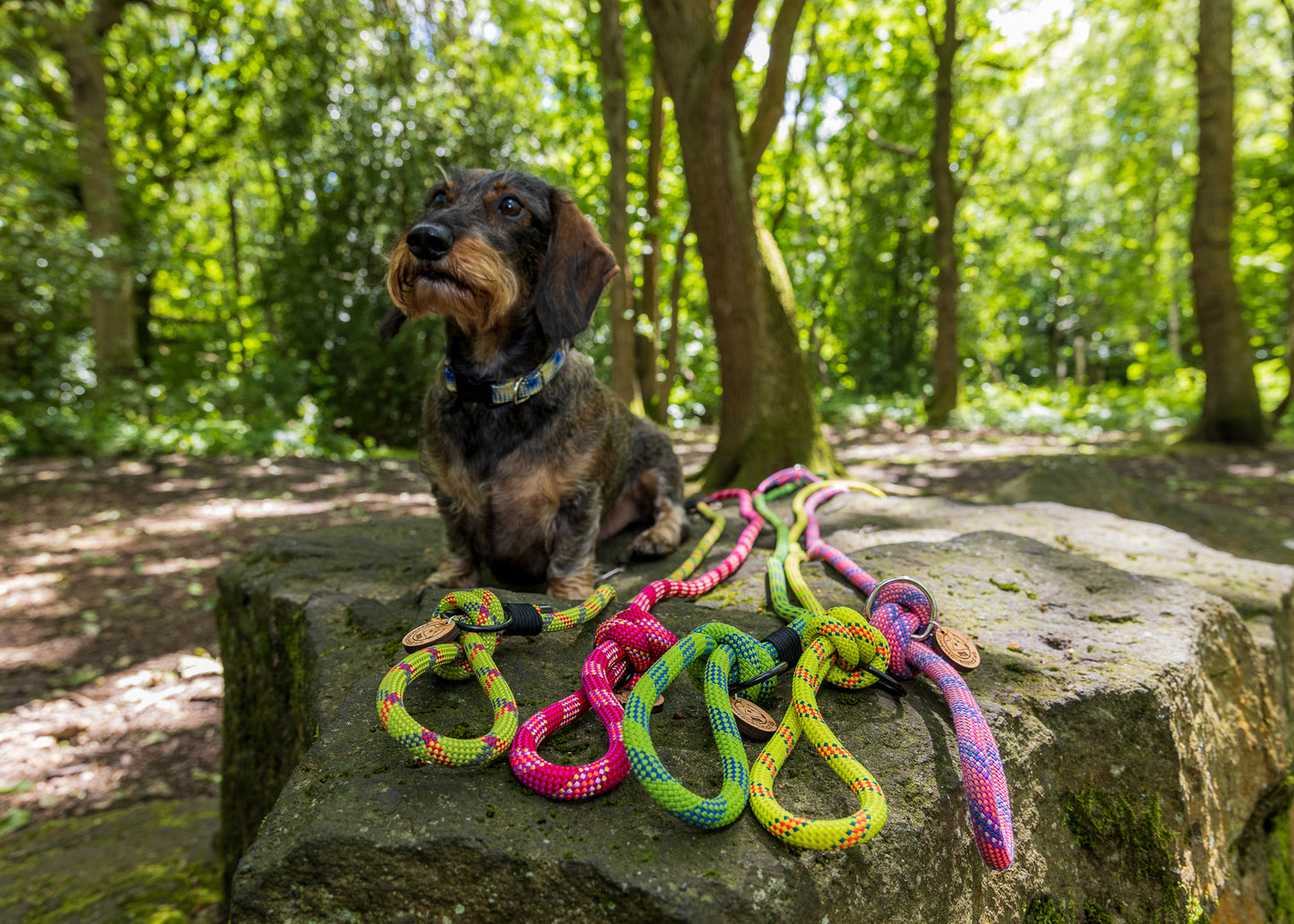 Pink & Purple, Beal® Retired Climbing Rope Dog Lead