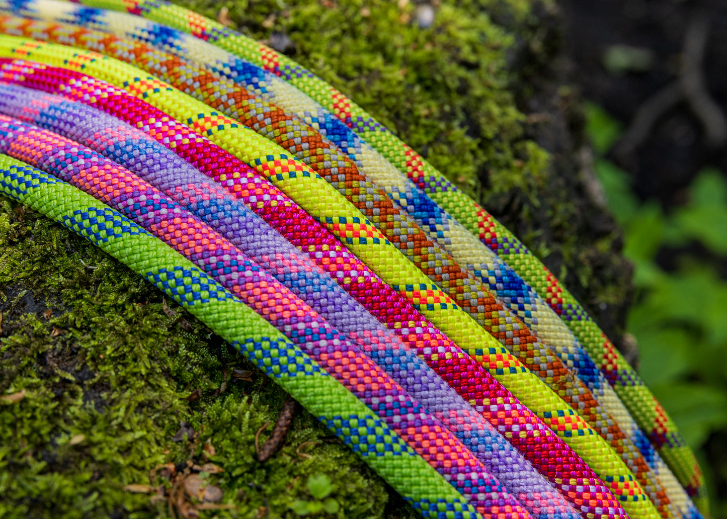 Dark Orange, Retired Climbing Rope Dog Lead