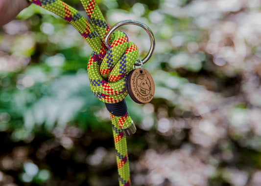 Green & Red, Beal® Retired Climbing Rope Dog Lead