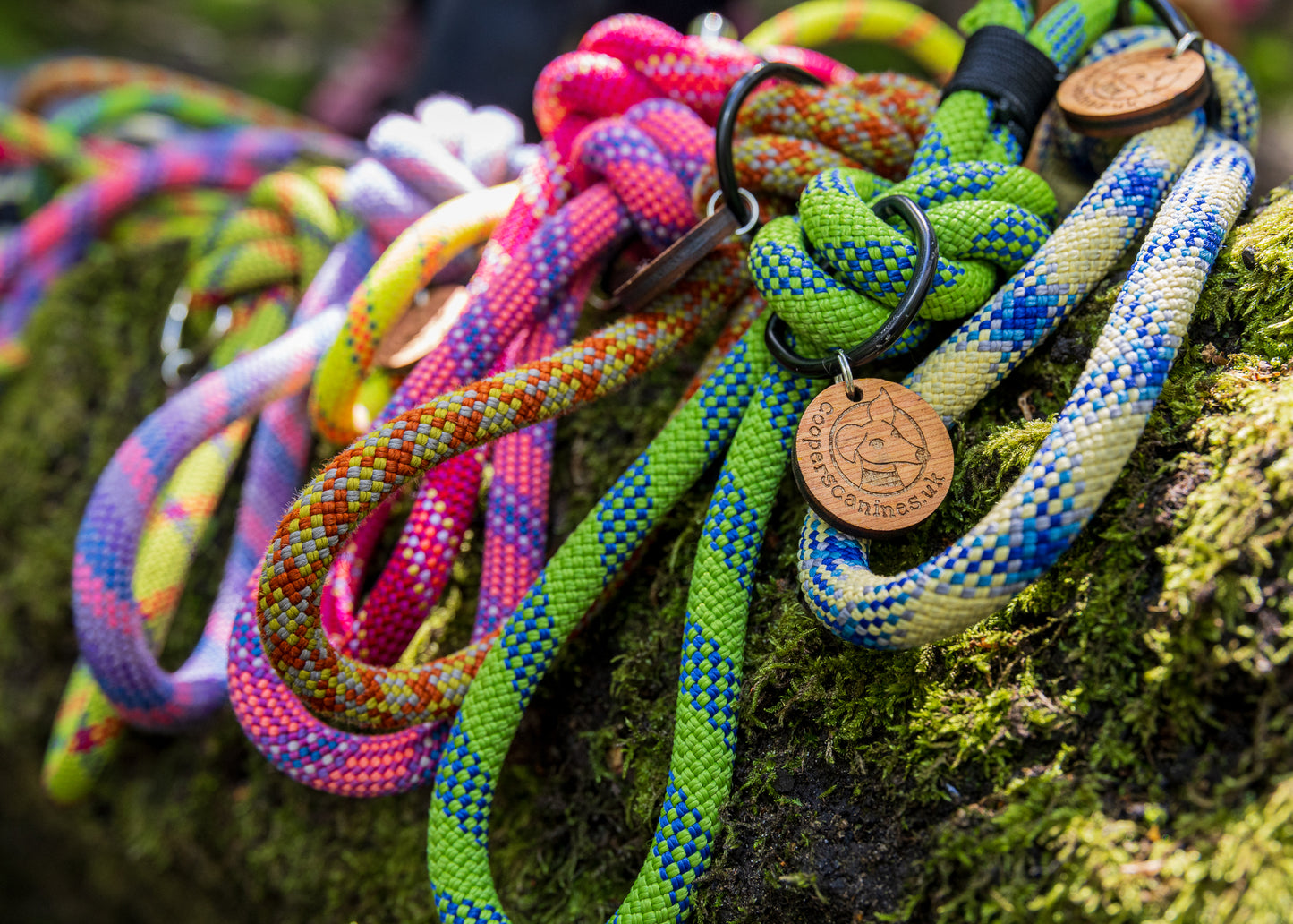 Yellow & Blue, Retired Climbing Rope Dog Lead