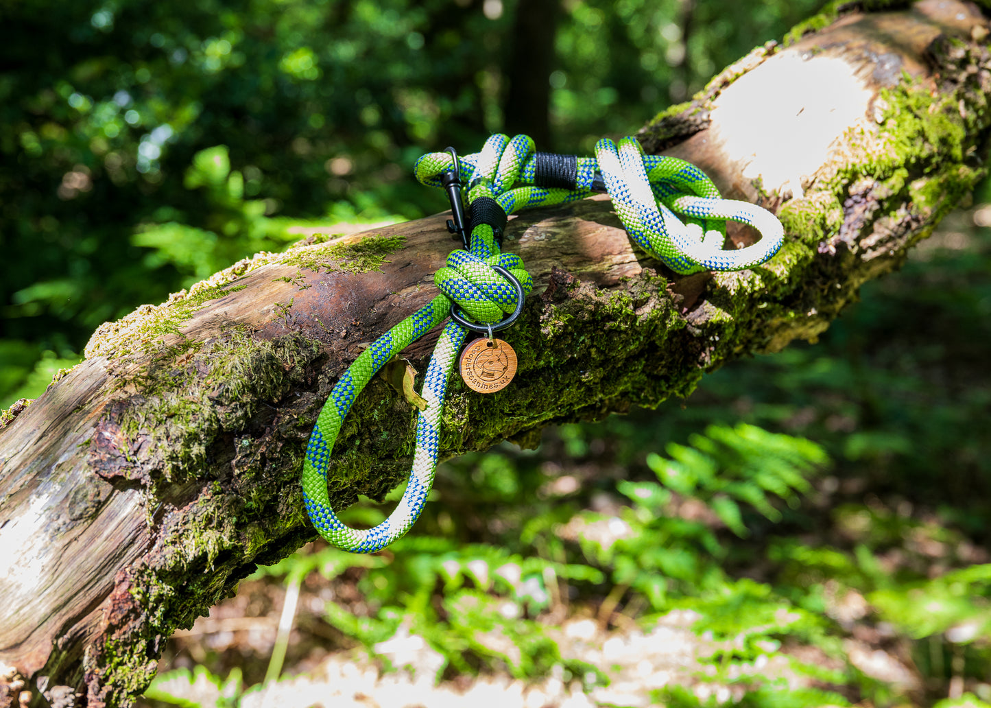 Green & Blue, Mammut® Retired Climbing Rope Dog Lead