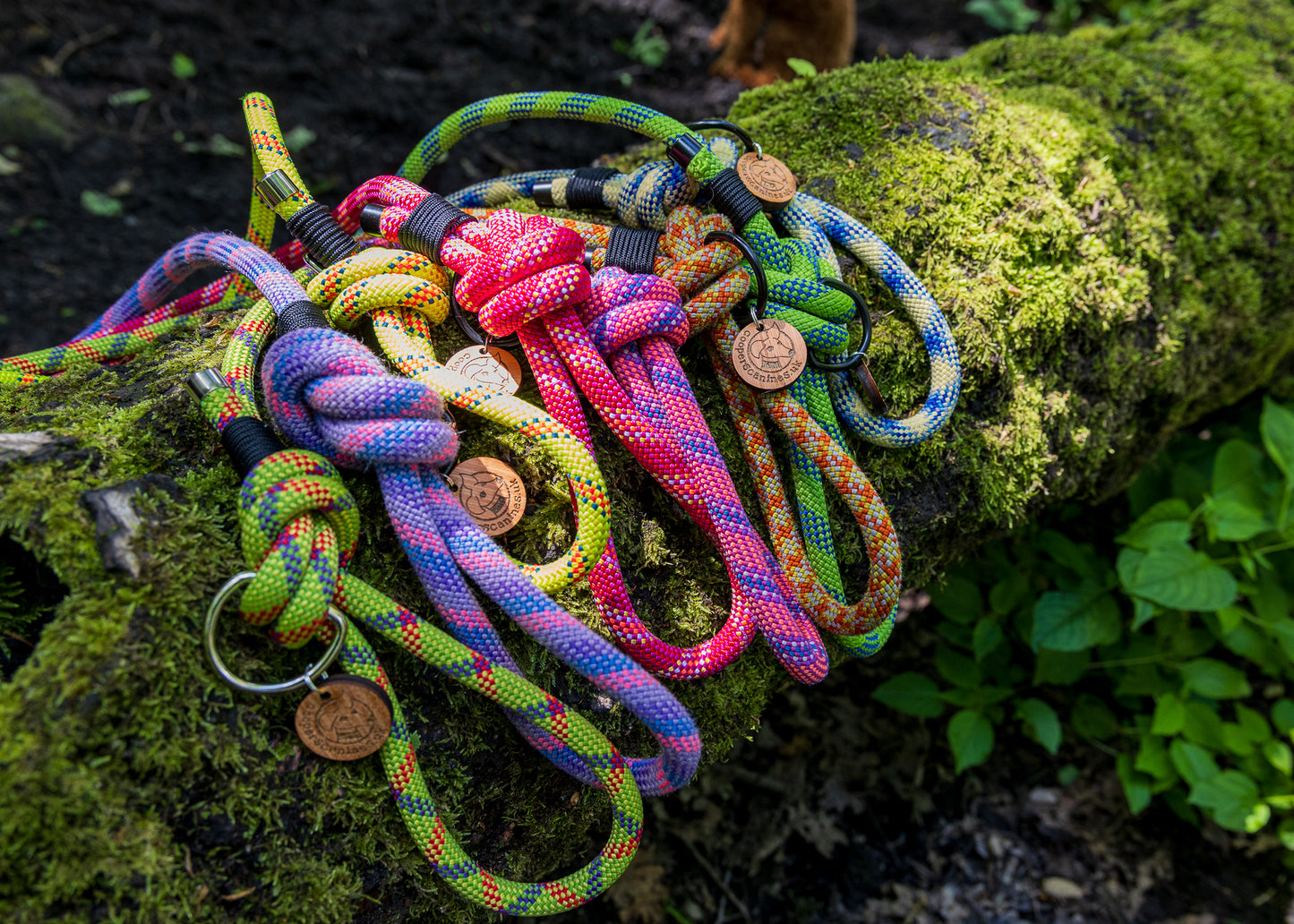 Green & Red, Beal® Retired Climbing Rope Dog Lead